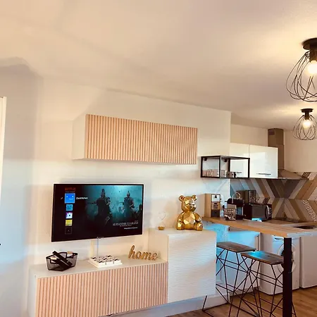 Magnifique To Be Discovered Apartment Montauban